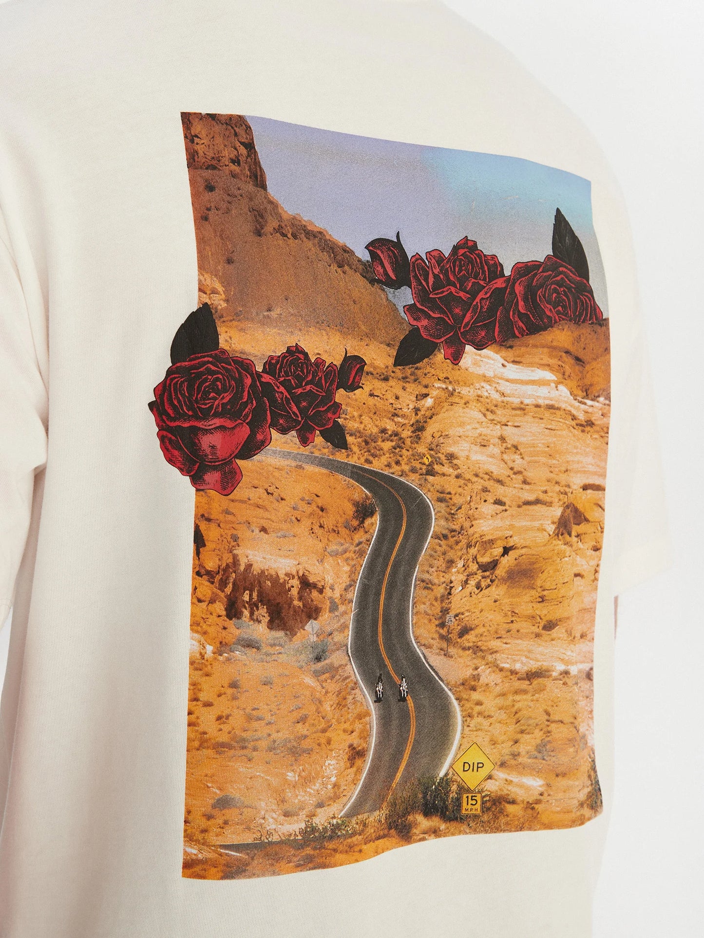 T-shirt Oversized Fit en coton avec motif graphique biker et roses